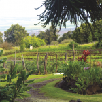 O‘O Farm